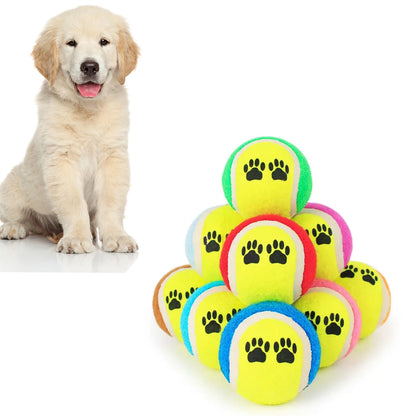 Kit c/ 3 Bolas Pet | PetBalls®