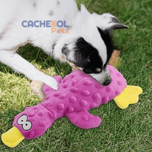 Mordedor Canino Patolino Fluffy-Pet® | Para Loucas Mordidas + Frete Grátis