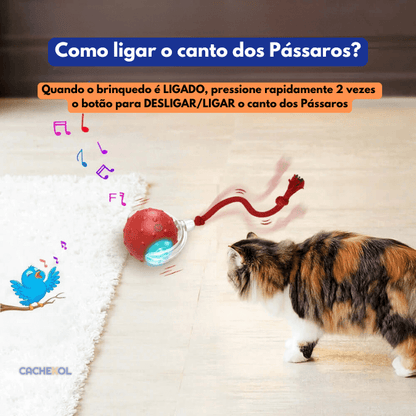 PetBall® | A bola inteligente para Pets + BRINDE + Frete Grátis