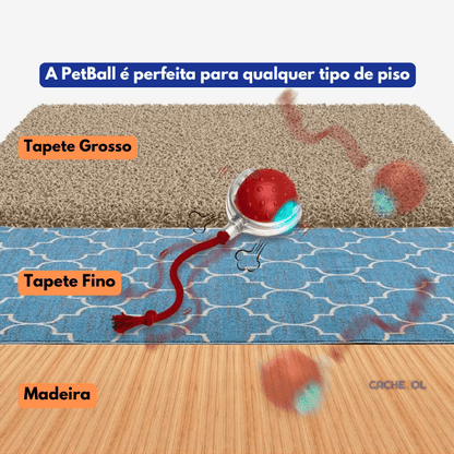 PetBall® | A bola inteligente para Pets + BRINDE + Frete Grátis