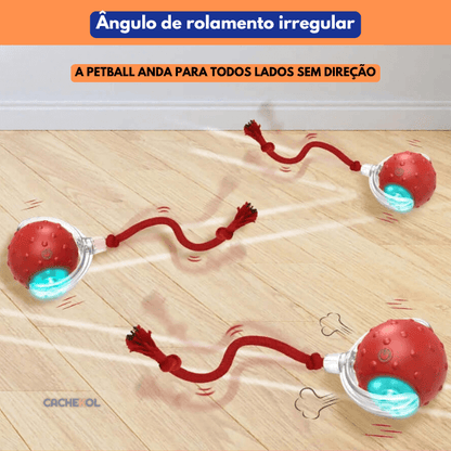 PetBall® | A bola inteligente para Pets + BRINDE + Frete Grátis