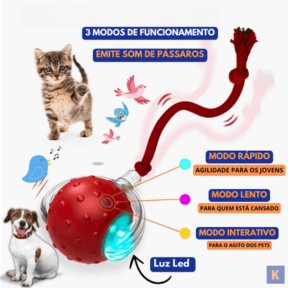 PetBall® | A bola inteligente para Pets + BRINDE + Frete Grátis