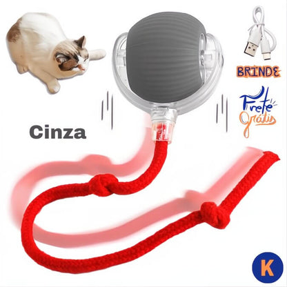 PetBall® | A bola inteligente para Pets + BRINDE + Frete Grátis