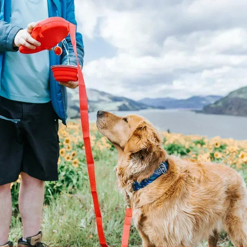 DogLeash 5 em 1 PRO® – A Trela Multifuncional Definitiva
