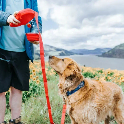 DogLeash 5 em 1 PRO® – A Trela Multifuncional Definitiva