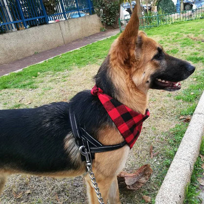 Bandanas Pet Fashion® | Frete Grátis