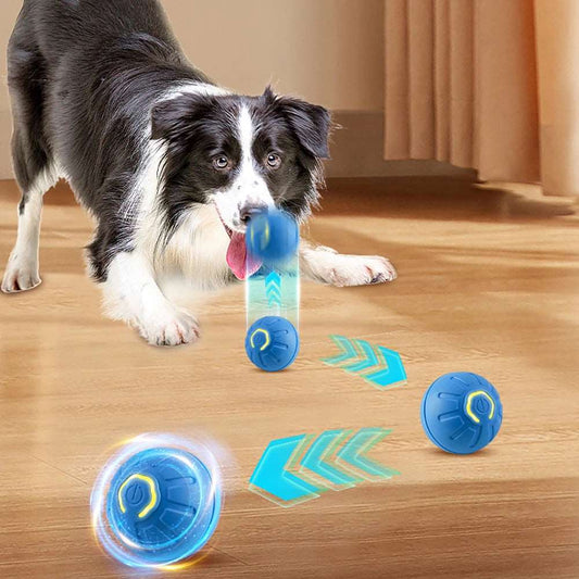 Bola PetGravity® Brinquedo Interativo Para Cães e Gatos USB 🔥 50% de Desconto + Frete Grátis