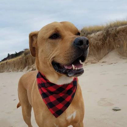 Bandanas Pet Fashion® | Frete Grátis