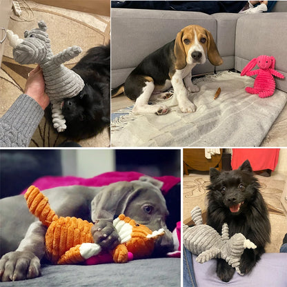 Mordedores Caninos | PetPets® Para Mordidas Valentes