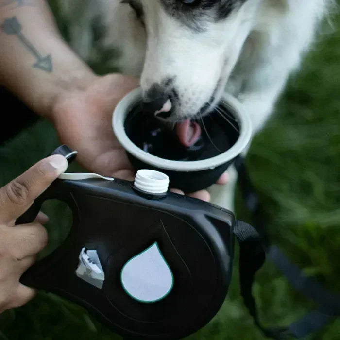 DogLeash 5 em 1 PRO® – A Trela Multifuncional Definitiva