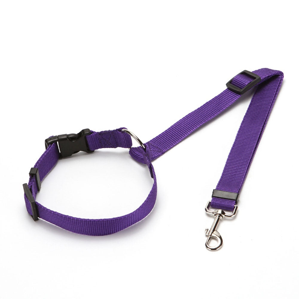 Cinto de Segurança Pet com Guia e Coleira | DOG-SAFE 3 em 1