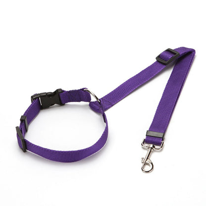 Cinto de Segurança Pet com Guia e Coleira | DOG-SAFE 3 em 1