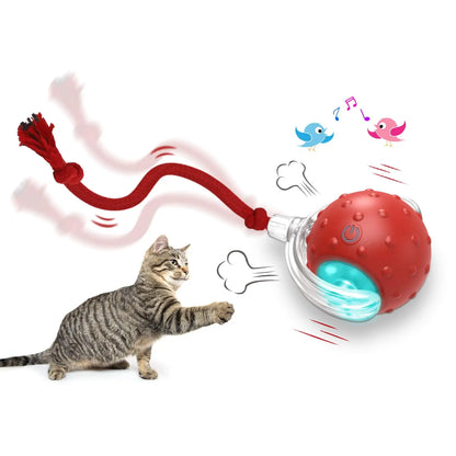 PetBall® | A bola inteligente para Pets + BRINDE + Frete Grátis