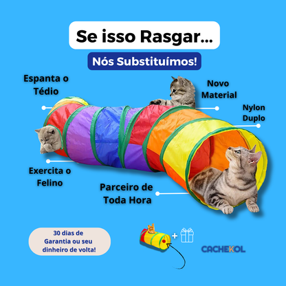 Túnel de Aventura para Gatos | PlayCat® + Bola Anti-Estresse de BRINDE