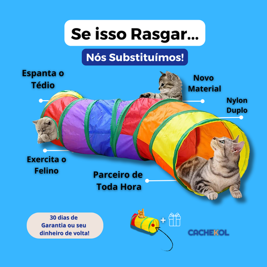 Túnel de Aventura para Gatos | PlayCat® + Bola Anti-Estresse de BRINDE